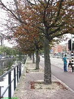 Centraal Station CS - nr. 0407
